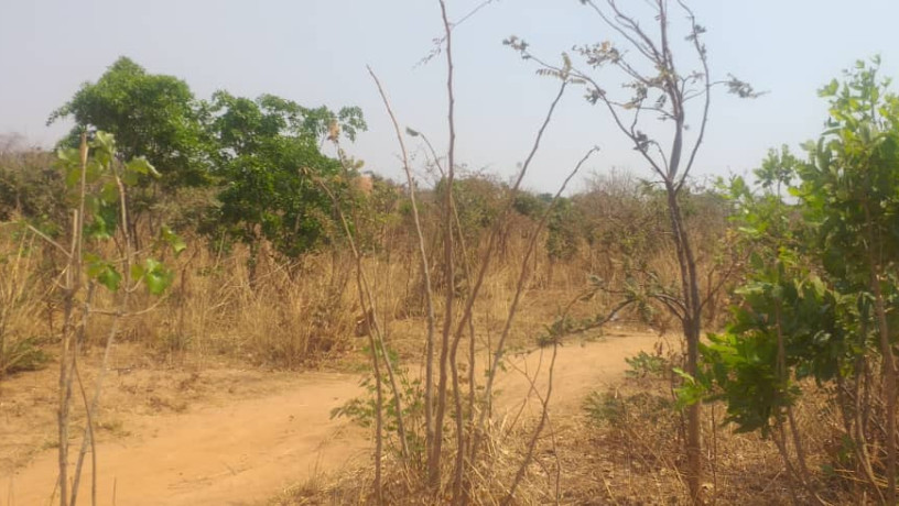 land-for-sale-in-framers-kalundu-big-4