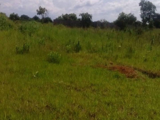 Plot for Sale in Ndola