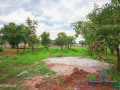 1-acre-plot-for-sale-in-new-kasama-small-1