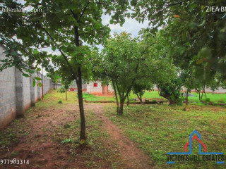 1 Acre Plot For Sale In New Kasama