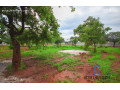 1-acre-plot-for-sale-in-new-kasama-small-3