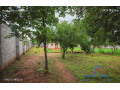 1-acre-plot-for-sale-in-new-kasama-small-0