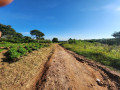 13-acre-land-for-sale-in-foxdale-small-2