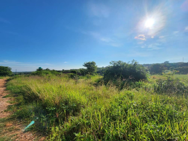 13-acre-land-for-sale-in-foxdale-big-1