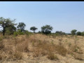 5-hectares-land-for-sale-in-mumbwa-small-0