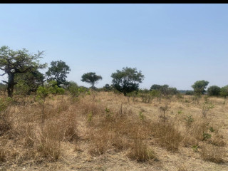 5 Hectares Land for Sale In Mumbwa