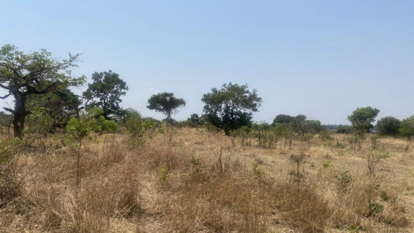 5-hectares-land-for-sale-in-mumbwa-big-0