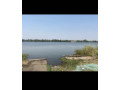 5-hectares-land-for-sale-in-mumbwa-small-2