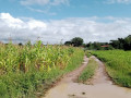 30m-by-20m-plot-for-sale-in-silverest-small-0