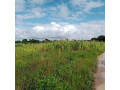 30m-by-20m-plot-for-sale-in-silverest-small-1