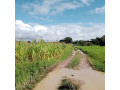 30m-by-20m-plot-for-sale-in-silverest-small-0