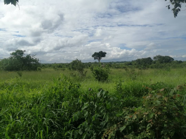 80-acres-land-for-sale-along-great-north-road-big-8