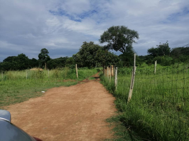 80-acres-land-for-sale-along-great-north-road-big-4