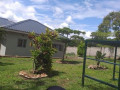 3-bedroom-house-for-rent-in-chilanga-small-8