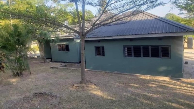 3-bedroom-house-for-rent-in-chilanga-big-3