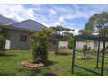 3-bedroom-house-for-rent-in-chilanga-small-8