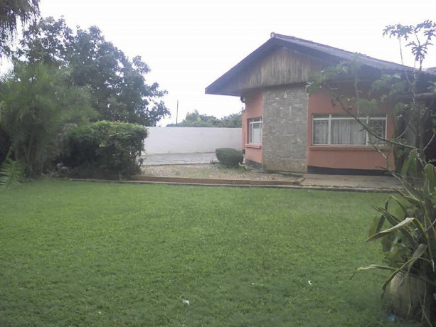 commercial-three-bedroom-house-in-long-acres-big-3