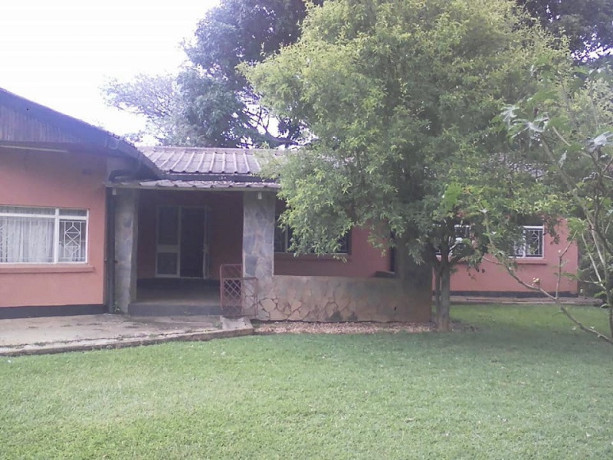 commercial-three-bedroom-house-in-long-acres-big-2