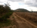 land-for-sale-in-shimabala-small-2