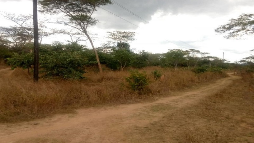 land-for-sale-in-shimabala-big-1