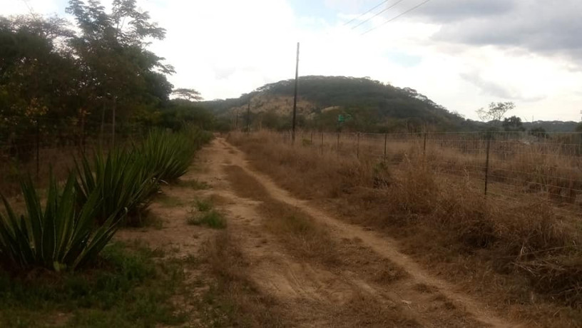 land-for-sale-in-shimabala-big-2