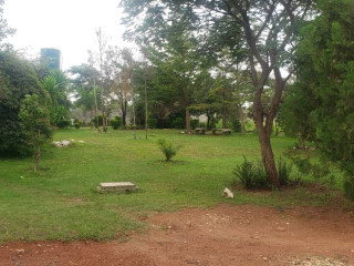 Commercial Property For Sale In Libala South