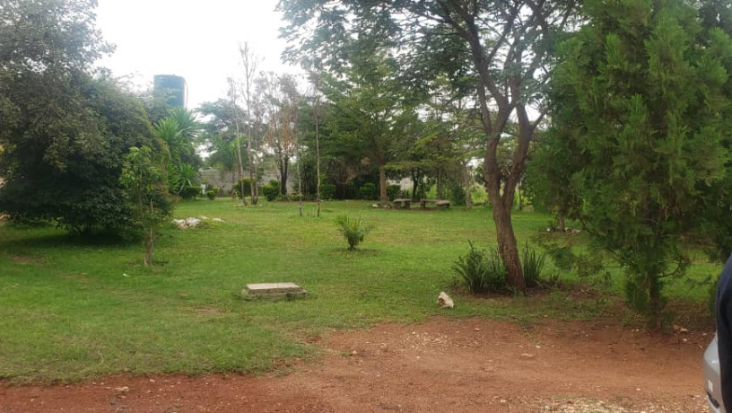 commercial-property-for-sale-in-libala-south-big-0