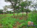 51m-by-57m-plot-for-sale-in-makeni-small-2