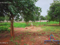 51m-by-57m-plot-for-sale-in-makeni-small-1