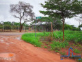 51m-by-57m-plot-for-sale-in-makeni-small-5