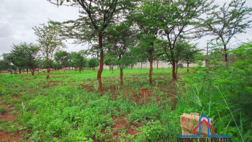 51m-by-57m-plot-for-sale-in-makeni-big-2