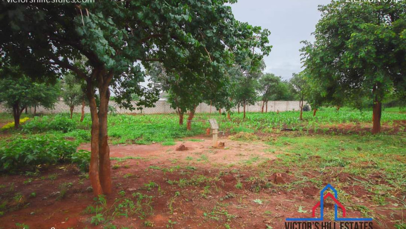 51m-by-57m-plot-for-sale-in-makeni-big-1