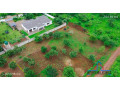 51m-by-57m-plot-for-sale-in-makeni-small-6