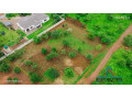 51m-by-57m-plot-for-sale-in-makeni-small-0