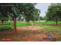 51m-by-57m-plot-for-sale-in-makeni-small-1