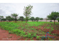 51m-by-57m-plot-for-sale-in-makeni-small-3