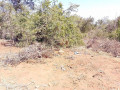 40m-by-35m-plot-for-sale-in-chalala-small-2