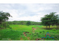 10-acre-plot-for-sale-in-new-kasama-small-1