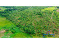 10-acre-plot-for-sale-in-new-kasama-small-7
