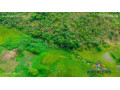 10-acre-plot-for-sale-in-new-kasama-small-2