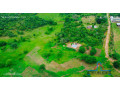 10-acre-plot-for-sale-in-new-kasama-small-0