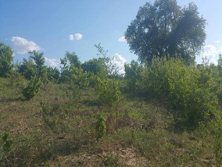 Land For Sale in Roma Park