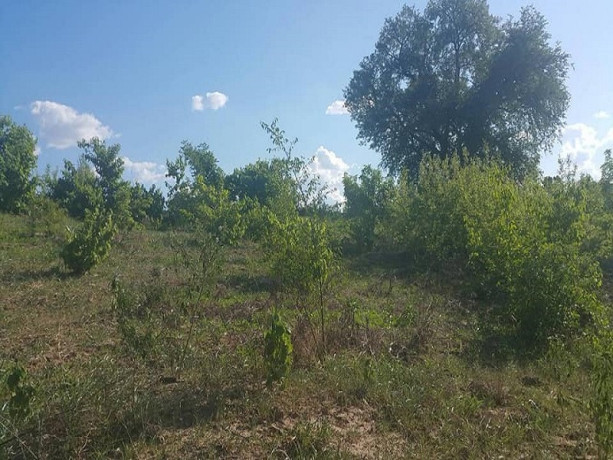 land-for-sale-in-roma-park-big-0