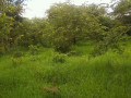 beautiful-property-on-mumbwa-road-small-0