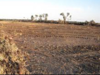 Land for Sale in Situmbeko, Lusaka, Zambia