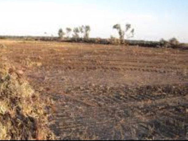 land-for-sale-in-situmbeko-lusaka-zambia-big-0