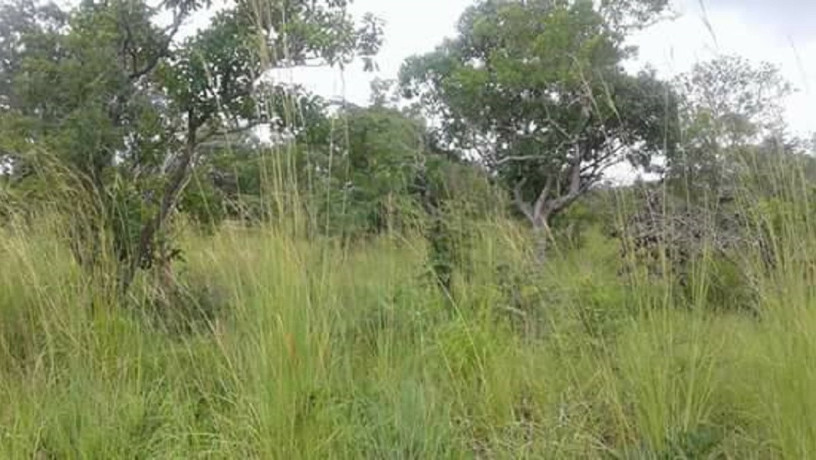 five-acres-of-virgin-land-for-sale-in-mwanawasa-resettlement-area-big-1