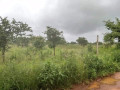 30m-by-25m-plot-for-sale-in-libala-south-small-3