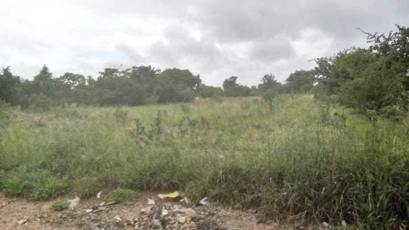 30m-by-25m-plot-for-sale-in-libala-south-big-0