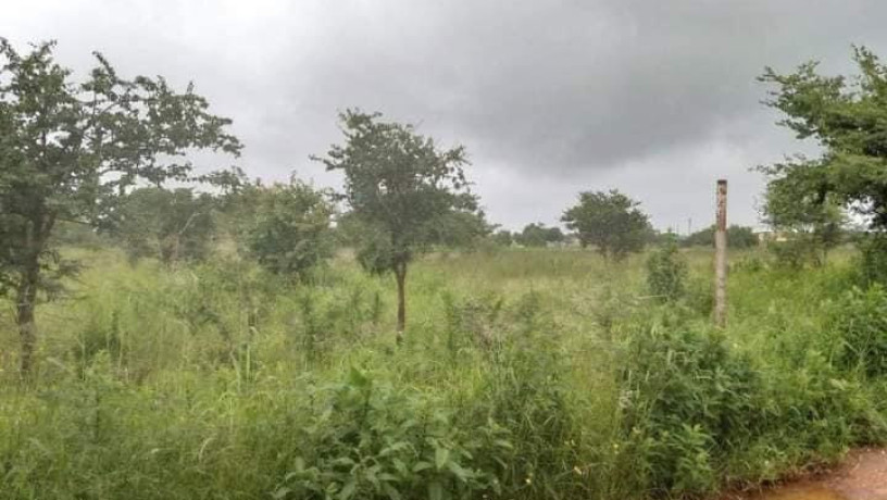 30m-by-25m-plot-for-sale-in-libala-south-big-3